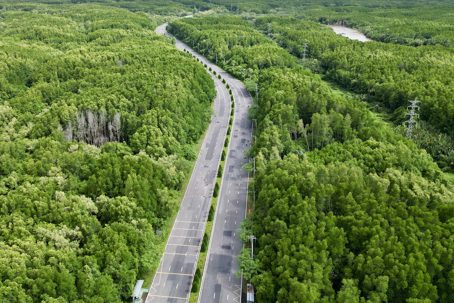 duong-rung-sac-mo-rong