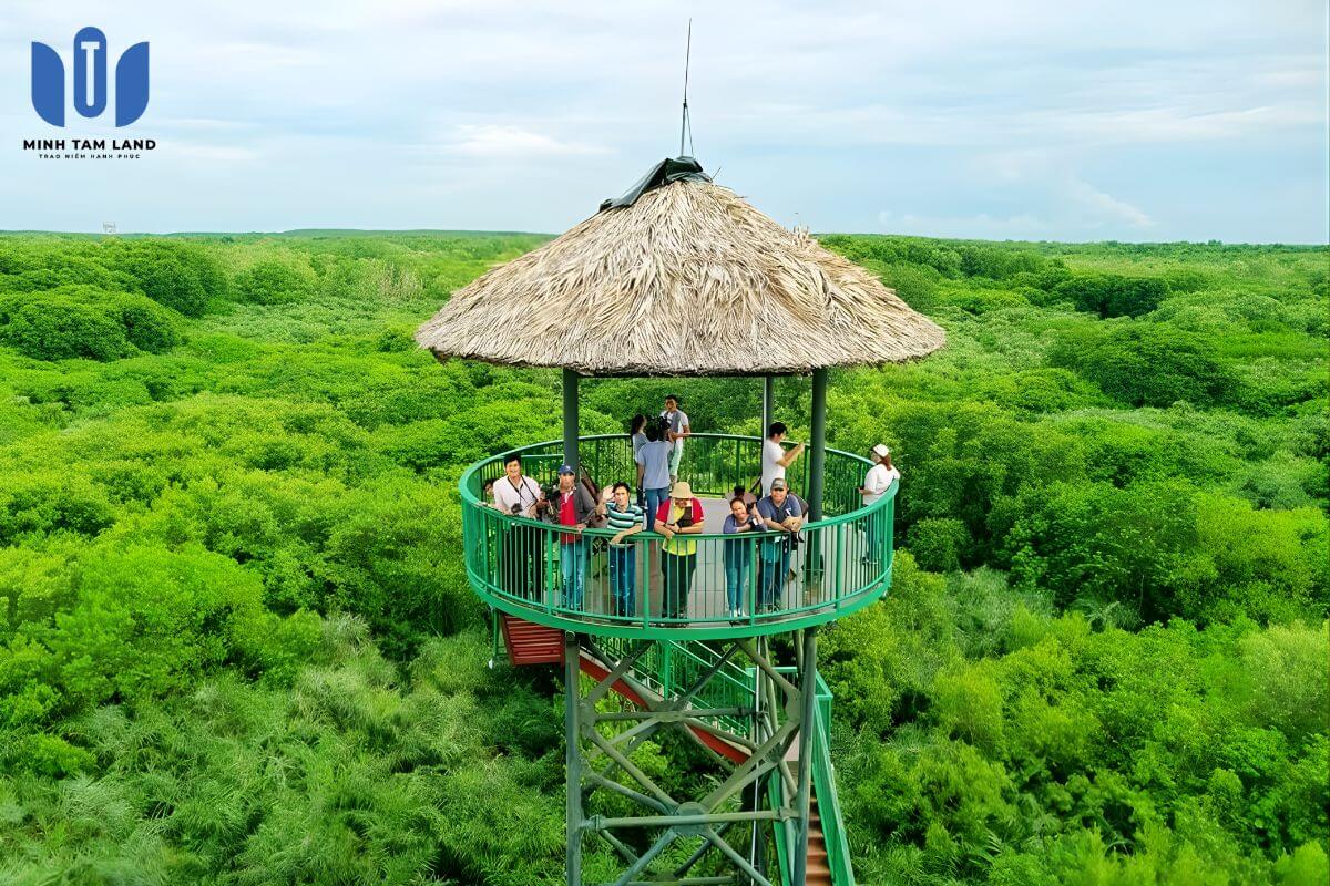 Cần Giờ có gì chơi? Liệu câu trả lời có nằm tại Vinhomes Green Paradise? 81 Cần Giờ có gì chơi?