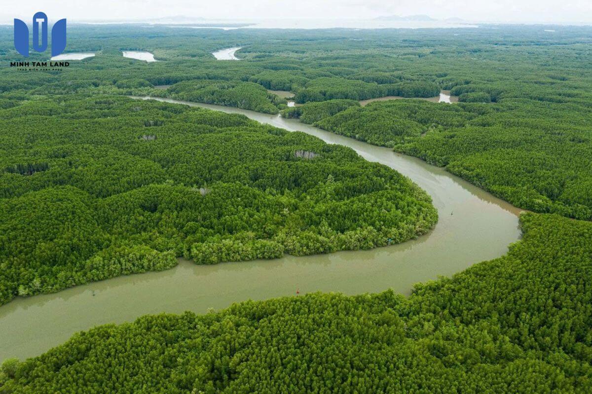 Cần Giờ có gì chơi? Liệu câu trả lời có nằm tại Vinhomes Green Paradise? 8 Cần Giờ được xem là vùng đất hiếm hoi hội tụ cả rừng và biển tại thành phố