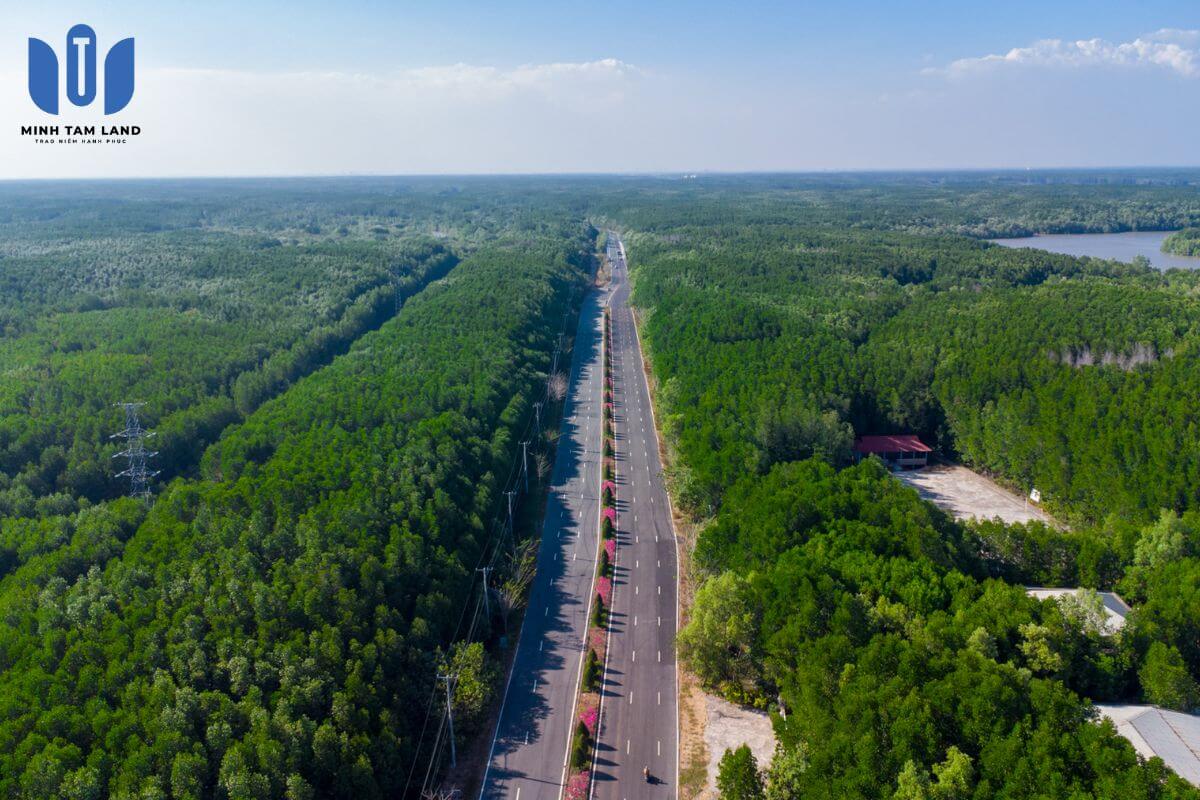 Sự "lột xác" của Đường Rừng Sác Cần Giờ trước thềm Vinhomes Green Paradise khởi công 8 Tuyến đường Rừng Sác Cần Giờ mang đến tiềm năng du lịch sinh thái độc đáo