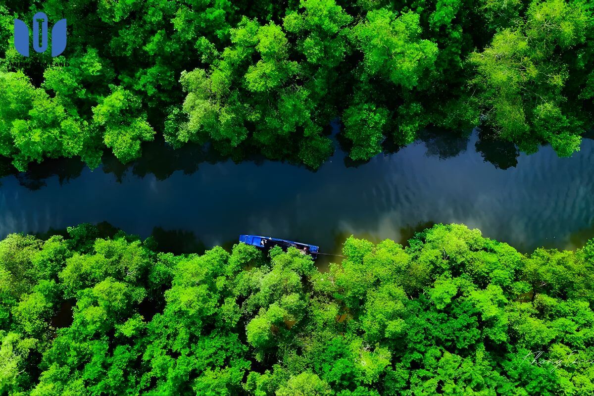 Rừng Sác Cần Giờ