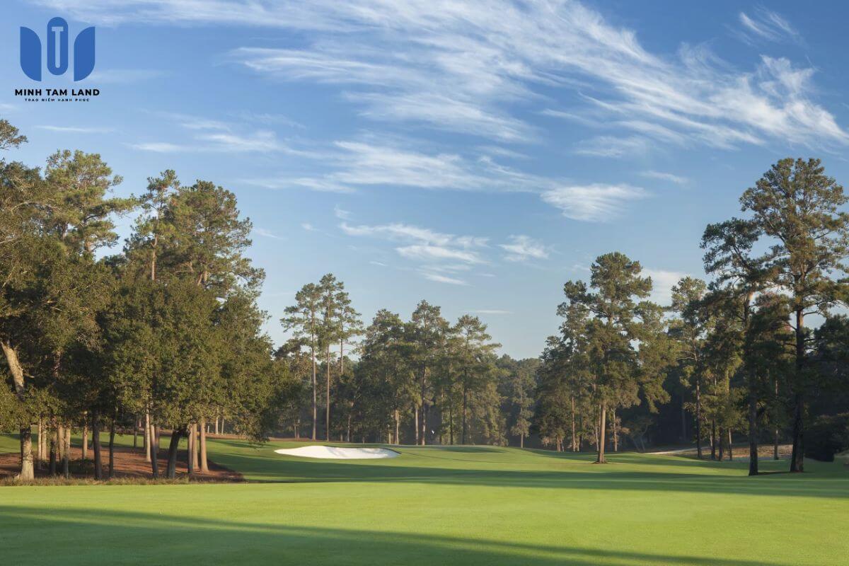 Tiger Woods là ai? Huyền thoại golf đứng sau tuyệt tác West–Sunset Vinhomes Green Paradise 8 Tiger Woods còn khẳng định tầm ảnh hưởng trong lĩnh vực thiết kế sân golf đẳng cấp